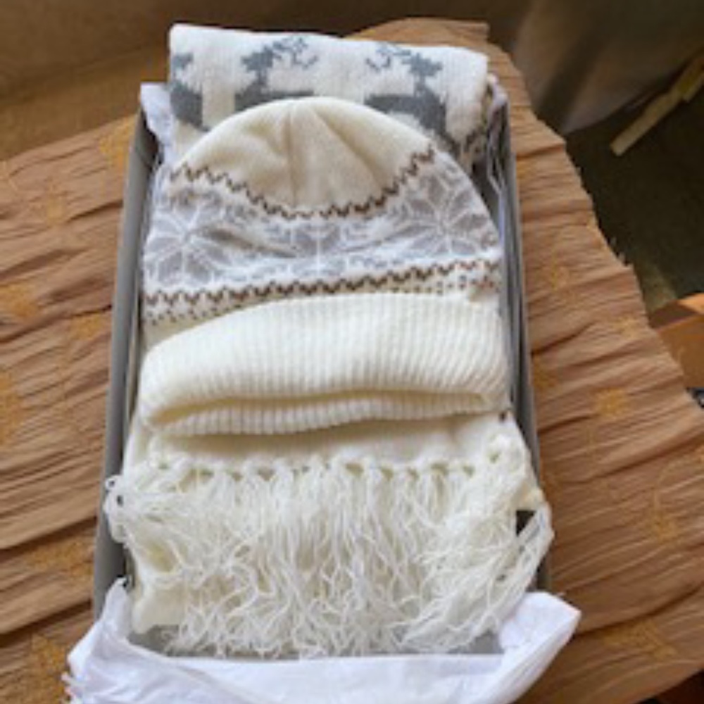 NWOT BEAUTIFUL SOFT SCARF AND BEANIE